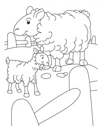 Coloring Book Pages Of Sheep - Coloring Style Pages