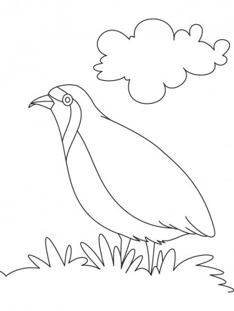 A hungry partridge coloring page | Download Free A hungry 