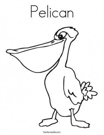 Pelican Coloring Page - Twisty Noodle