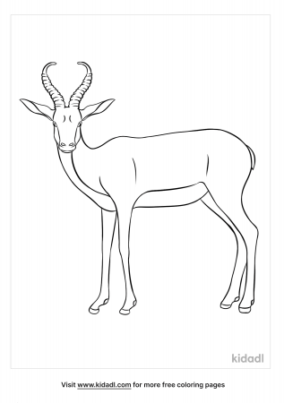 Antelope Coloring Pages | Free Animals Coloring Pages | Kidadl