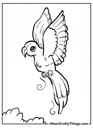 Unique Bird Coloring Pages (Updated 2022)