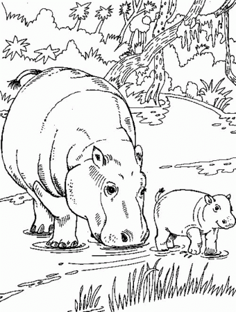 African Animal Coloring Pages Hippo Family | Animal Coloring pages ...