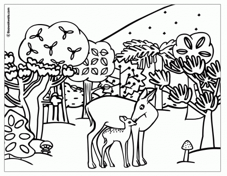 Deciduous Forest Coloring Sheets Deciduous Forest Animals Coloring ...