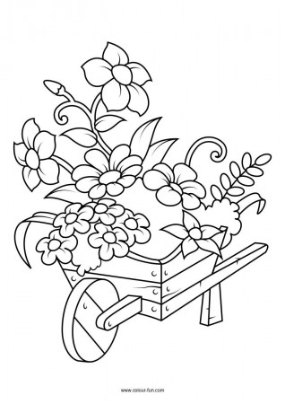Free Flower Colouring Pages | Colour Fun | Flower coloring pages, Coloring  pages, Colouring pages