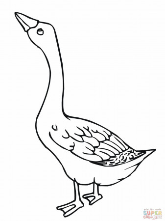 Goose Coloring Page | Coloring pages, Bird coloring pages, Printable  coloring