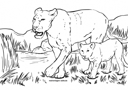 Coloring page lioness | Wild animals - free coloring pages