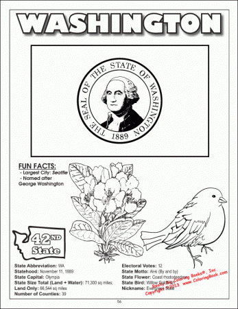 Coloring Books | United States Coloring Book - All 50 States
