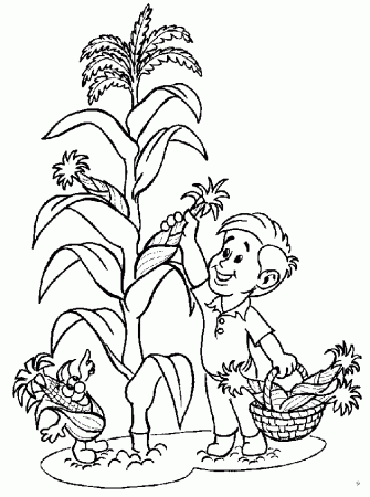 Corn plant, Coloring pages and Coloring