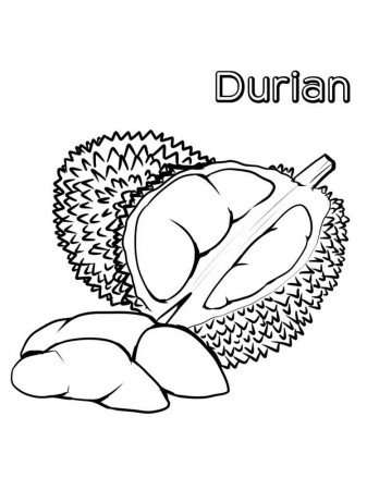 durian coloring page free | Fruit coloring pages, Coloring pages, Durian