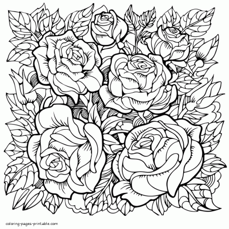 Rose Flower Coloring Pages For Grown-up || COLORING-PAGES ...
