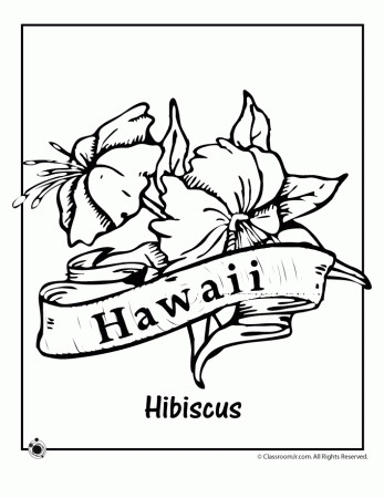Hawaii State Flower Coloring Page - Woo! Jr. Kids Activities
