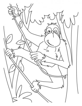 Chimpanzees rope ladder coloring pages | Download Free Chimpanzees ...
