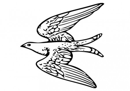 Coloring Page flying bird - free printable coloring pages - Img 20703