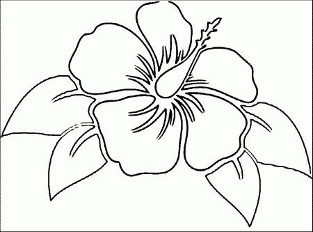 Hibiscus_flower_0 Coloring Page | Wecoloringpage