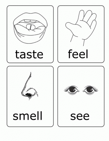 preschool five senses coloring pages printable my 5 senses. 5 ...