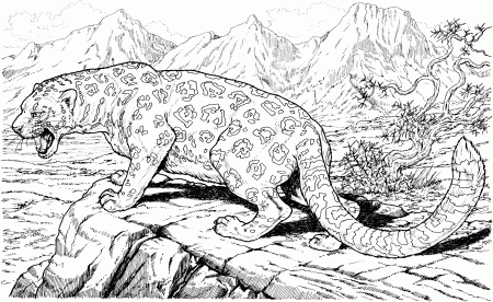 Related Cheetah Coloring Pages item-7919, Cheetah Coloring Pages ...