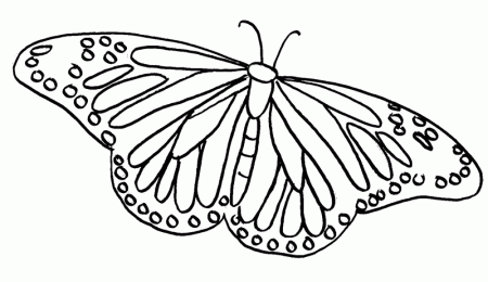 Of A Butterfly - Coloring Pages for Kids and for Adults