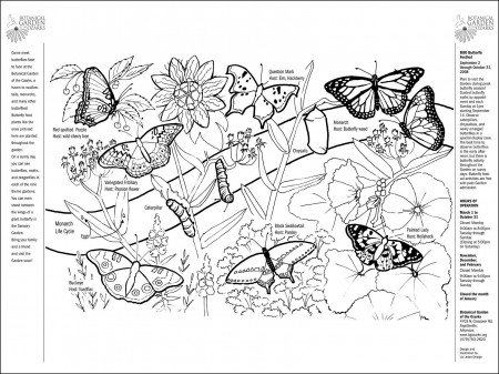 Free coloring pages of botanical