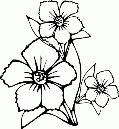 Free Flower Coloring Pages For Preschoolers Flower Color Sheet ...