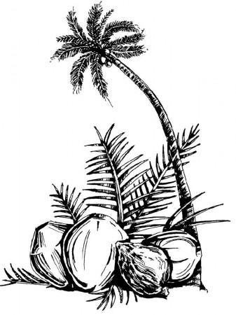 Coconut palm tree coloring page