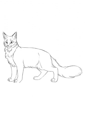 Warrior Cats coloring pages