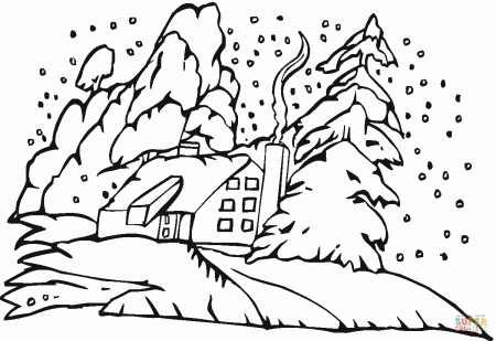 Pine Tree in the Christmas coloring page | Free Printable Coloring ...