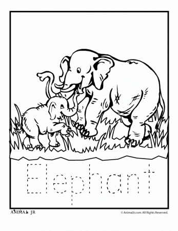 Get Zoo Animal Coloring Pages With Letter Writing Practice ...