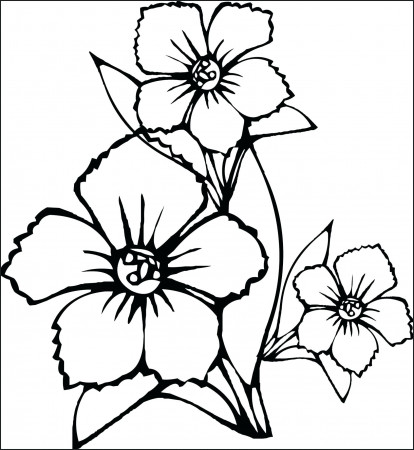Top 38 Top-notch Flower Drawing For Colouring Color Pages ...