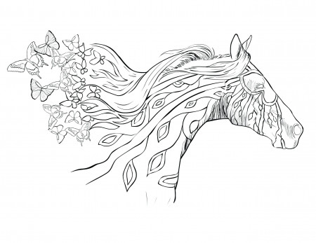 Coloring Pages : Horse Coloring Pages For Adults With Page ...