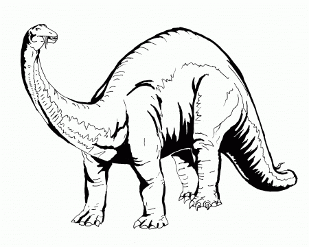 Dinosaur Coloring Pages (20 Pictures) - Colorine.net | 24819