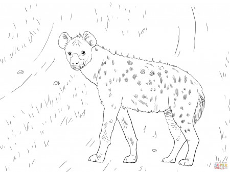 African Spotted Hyena coloring page | Free Printable Coloring Pages