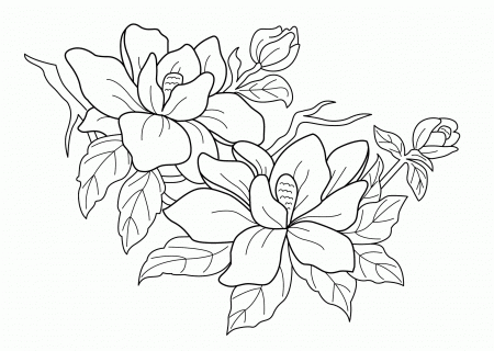 Coloring Book Pages Flowers Coloring Pages Coloring Pages For Kids ...