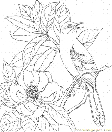 and Free Coloring Pages For Kids ›› Page 0 | Kids Coloring