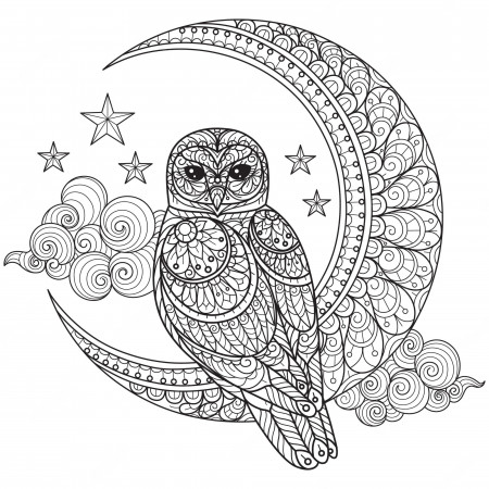 Premium Vector | Owl and moon hand drawn sketch illustration for adult  coloring book