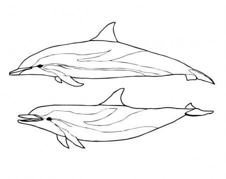Amazon river Dolphin and Spinner Dolphin Coloring Pages - Dolphin Coloring  Pages - Coloring Pages For Kids And Adults