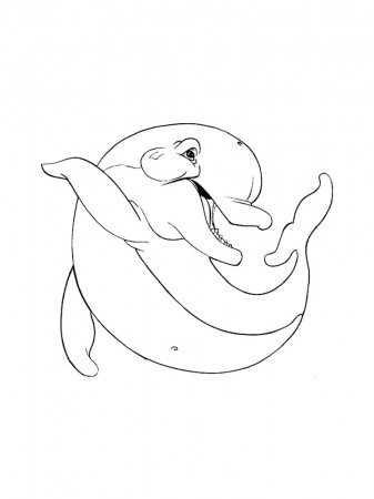 Dolphin coloring pages. Download and print dolphin coloring pages