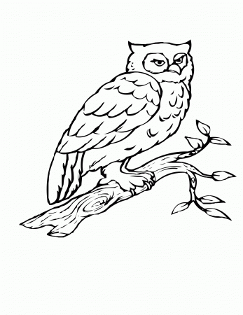10 Pics of Owl Love Birds Coloring Pages - Owl Heart Coloring ...