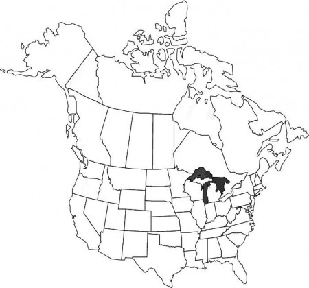 8 Pics of North America Map Coloring Page - North America Coloring ...
