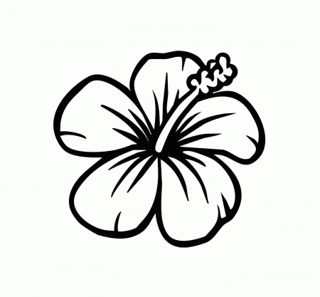 hawaiian flower coloring pages - High Quality Coloring Pages
