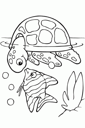 Turtle Coloring Pages | Forcoloringpages.com