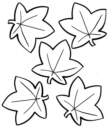 17 Free Pictures for: Fall Coloring Pages. Temoon.us