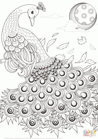 Graceful Peacock coloring page | Free Printable Coloring Pages