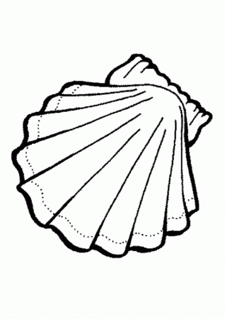 Shells - Coloring Pages for Kids and for Adults
