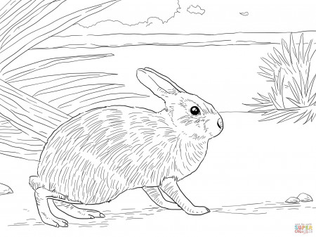Rabbits coloring pages | Free Coloring Pages