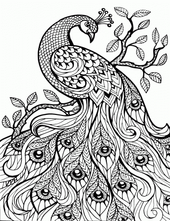 Coloring Pages For Adults | NewsRead.in
