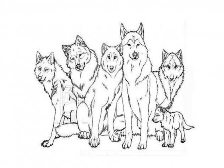 Wolf Pack | Free Coloring Pages on Masivy World