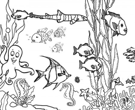starfish and the coral reef coloring page. viewing gallery for ...