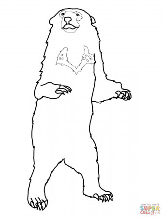 Brown Bear, Brown Bear, What do You See coloring page | Free ...