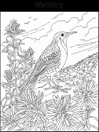 state emblems coloring pages | Bird coloring pages, Coloring pages, Animal coloring  pages