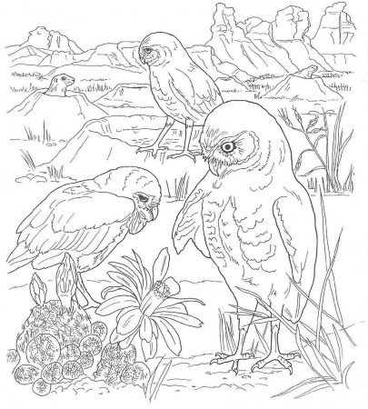Coloring Page Of Dessert Animal - Coloring Pages For All Ages